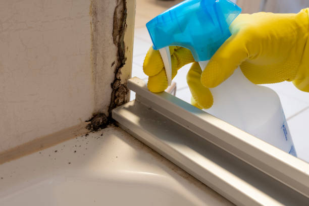 Best Industrial Mold Remediation in Tiltonsville, OH